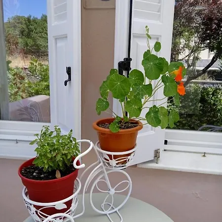 Andros Lighthouse Διαμέρισμα Mesaria (Andros)