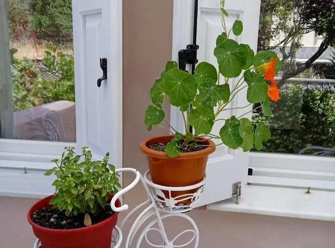 Andros Lighthouse Apartman Mesaria (Andros)